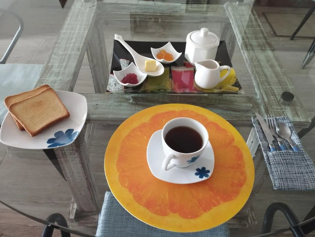 Cancun Ocean View Flamingo Plus Мексика