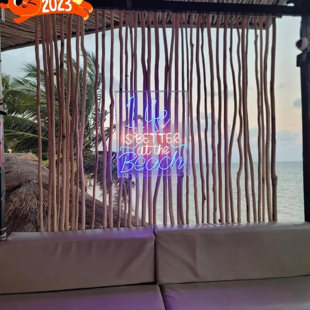Cancun Ocean View Flamingo Plus Отель типа 