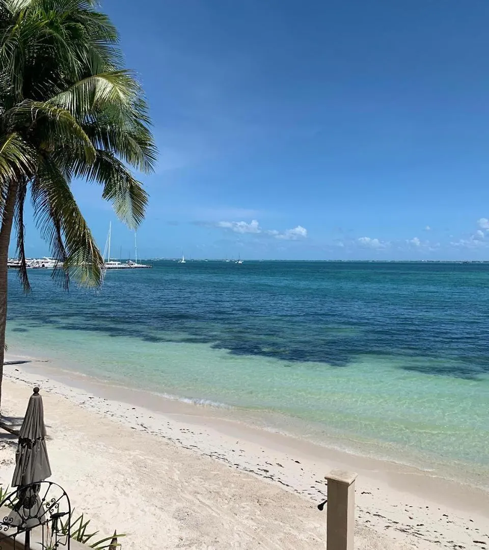Cancun Ocean View Flamingo Plus Мексика